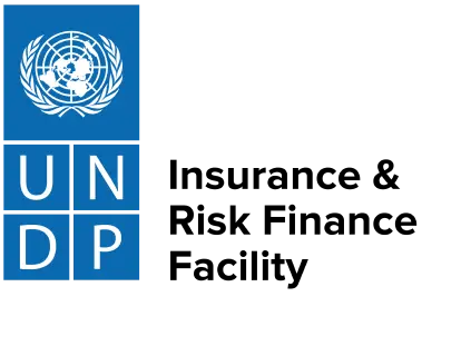 Logo UNDP