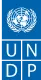Logo UNDP